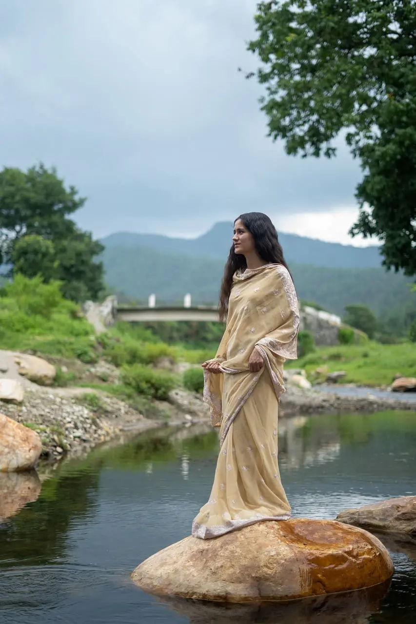 Choosing the best Saree