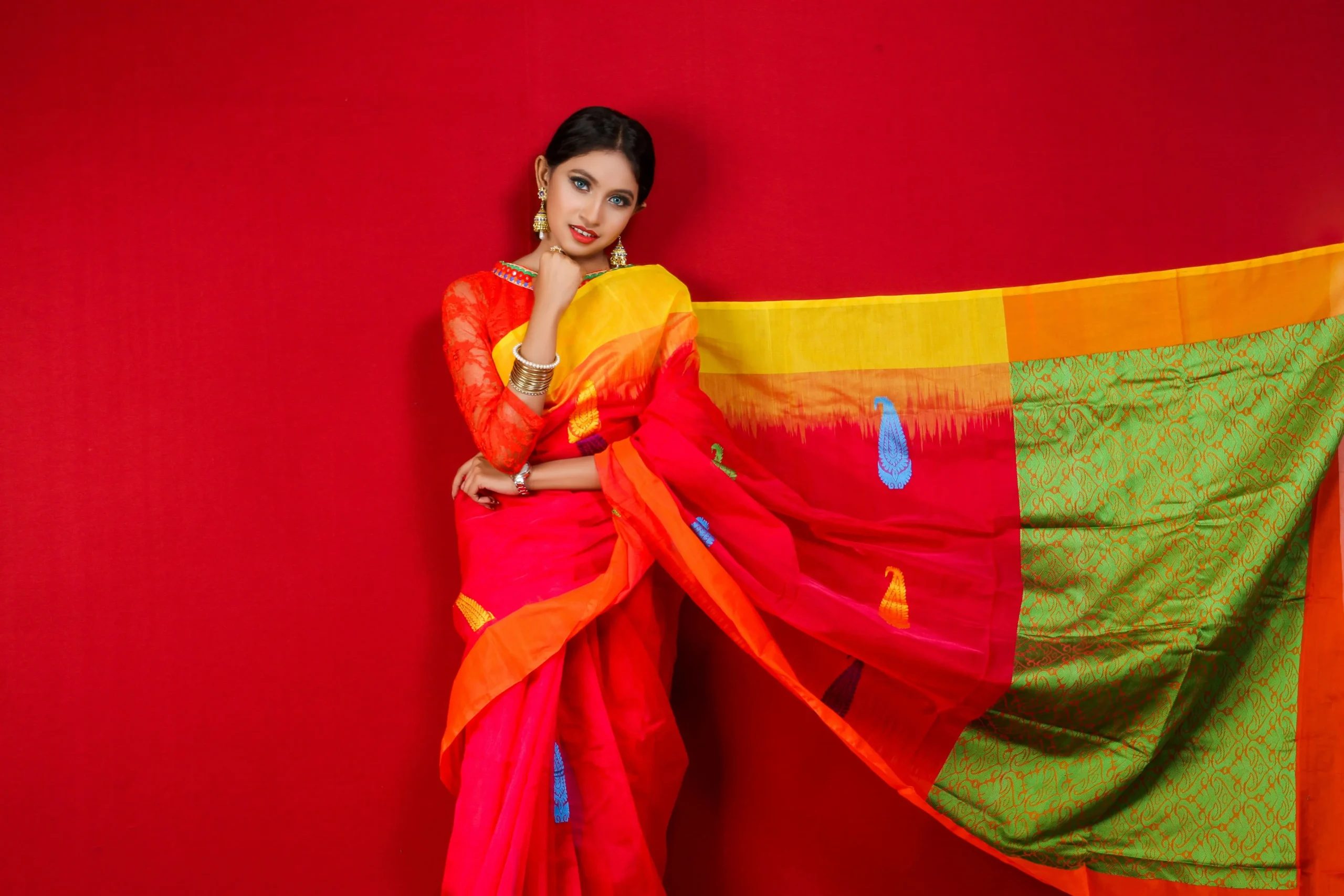 Handloom Saree Shopping