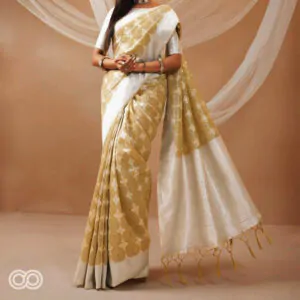 Handloom saree