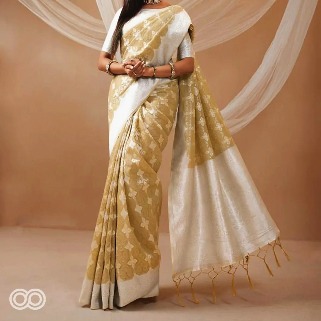 Handloom saree