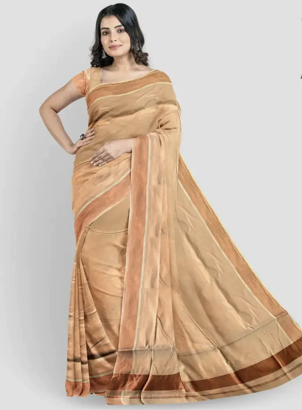 WOODLOOM HANDLOOM TISSUE KASAVU SAREE - Image 6