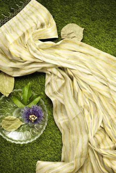 WOODLOOM STRIPED KASAVU  HANDLOOM COTTON SAREE